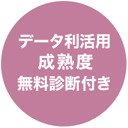 データ利活用成熟度無料診断付き