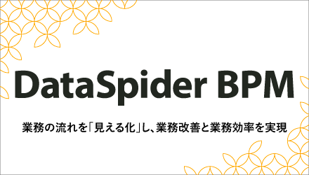 DataSpider BPM