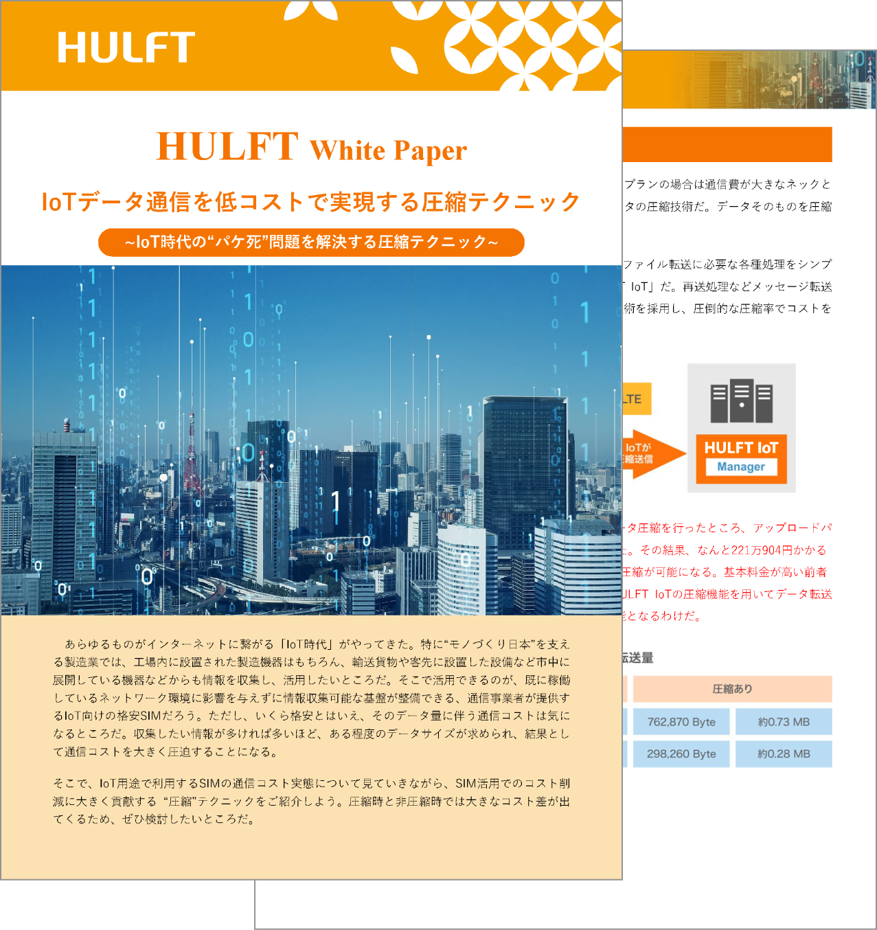 IoT whitepaper