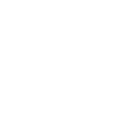 高速・俊敏