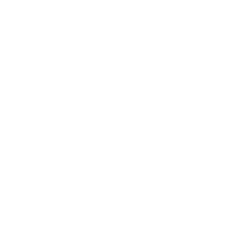 変化に対応する