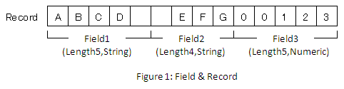 [Fixed-Length] Fixed-length text file